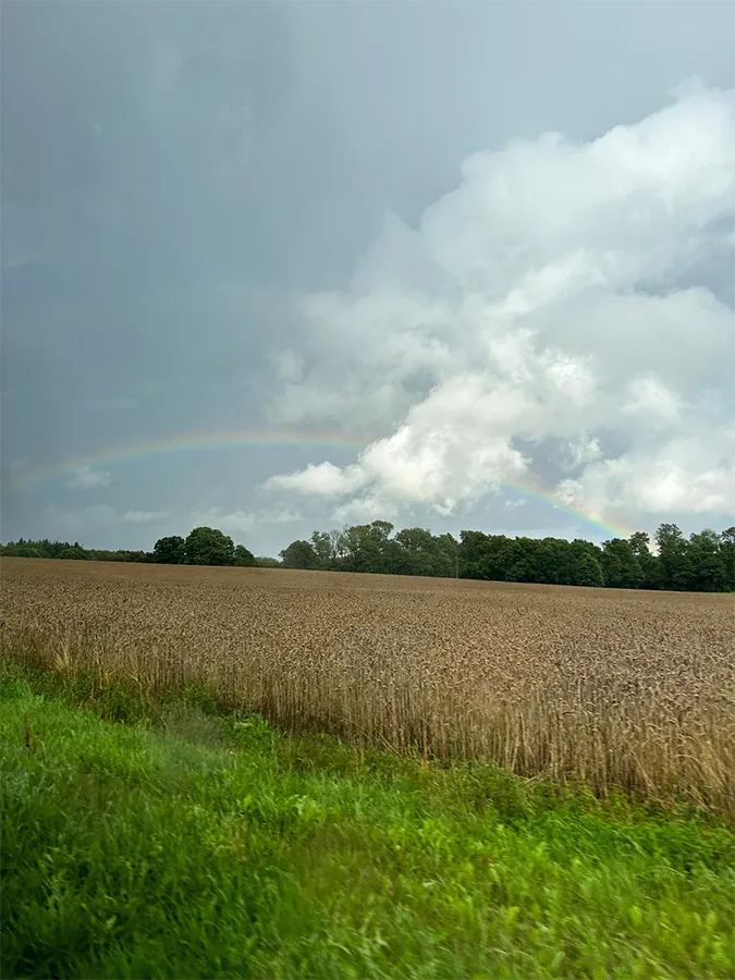 Regenbogen Getreide